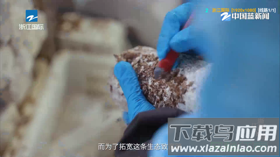 白虾影院TV版最新版截图3