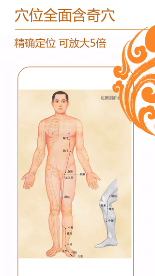 经络养生app截图2