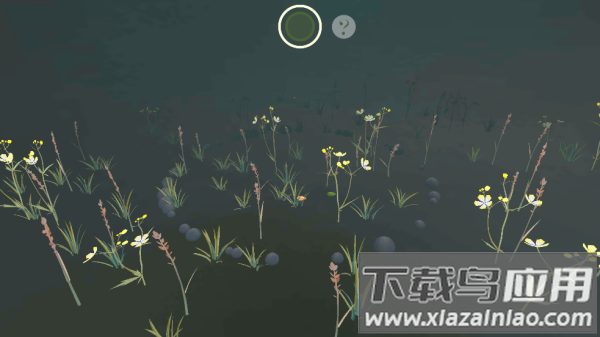 罗萨的花园RosasGarden