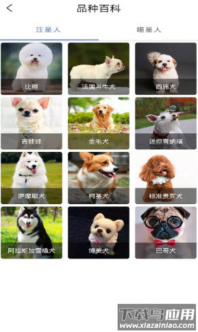 宠物知识全书app最新版截图1