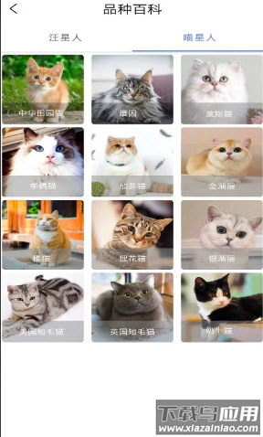 宠物知识全书app最新版截图2
