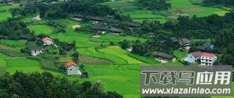 问野app 问野app