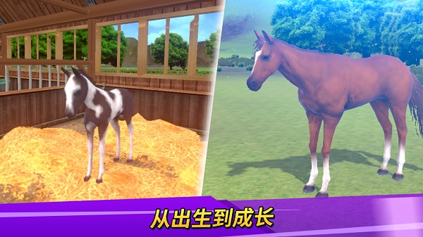 德比生活最新版(Derby Life)最新版截图3