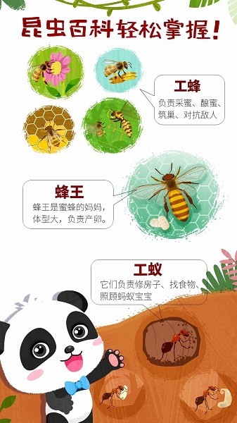宝宝巴士奇妙昆虫世界小游戏截图