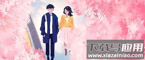 憨小猪app