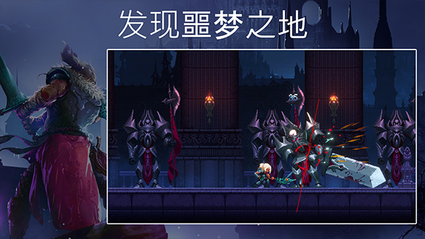 埃德兰最新版最新版截图3