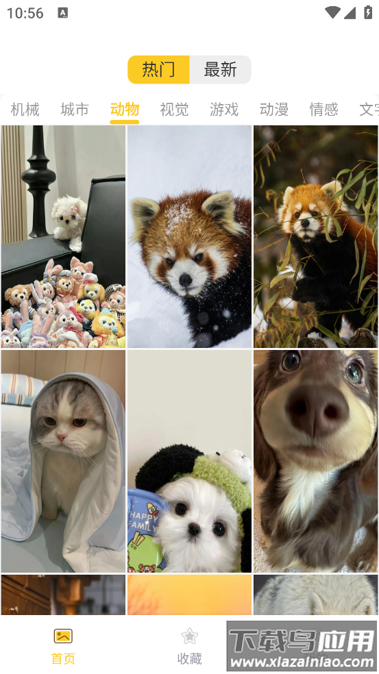 炫动次元壁纸app截图2