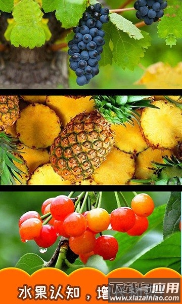 宝宝切水果手机版最新版截图2