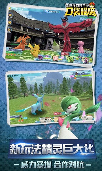 口袋喵喵官方版最新版截图2