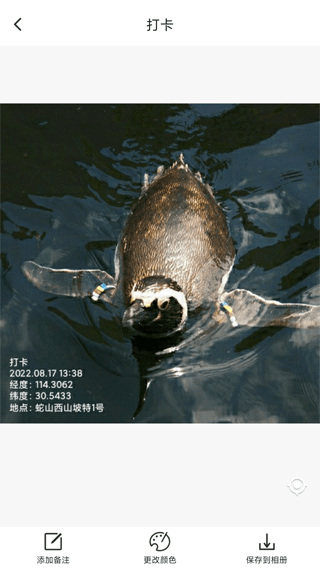 打卡定位软件app截图2