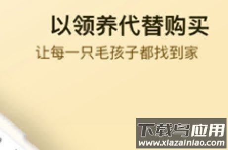 小萌猫app 小萌猫app