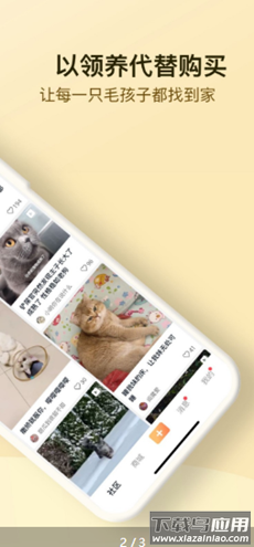 小萌猫app最新版截图1