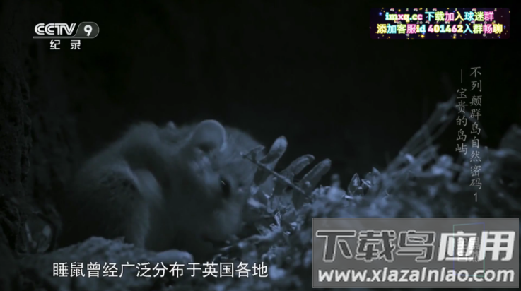 晶奥直播tv版最新版截图2