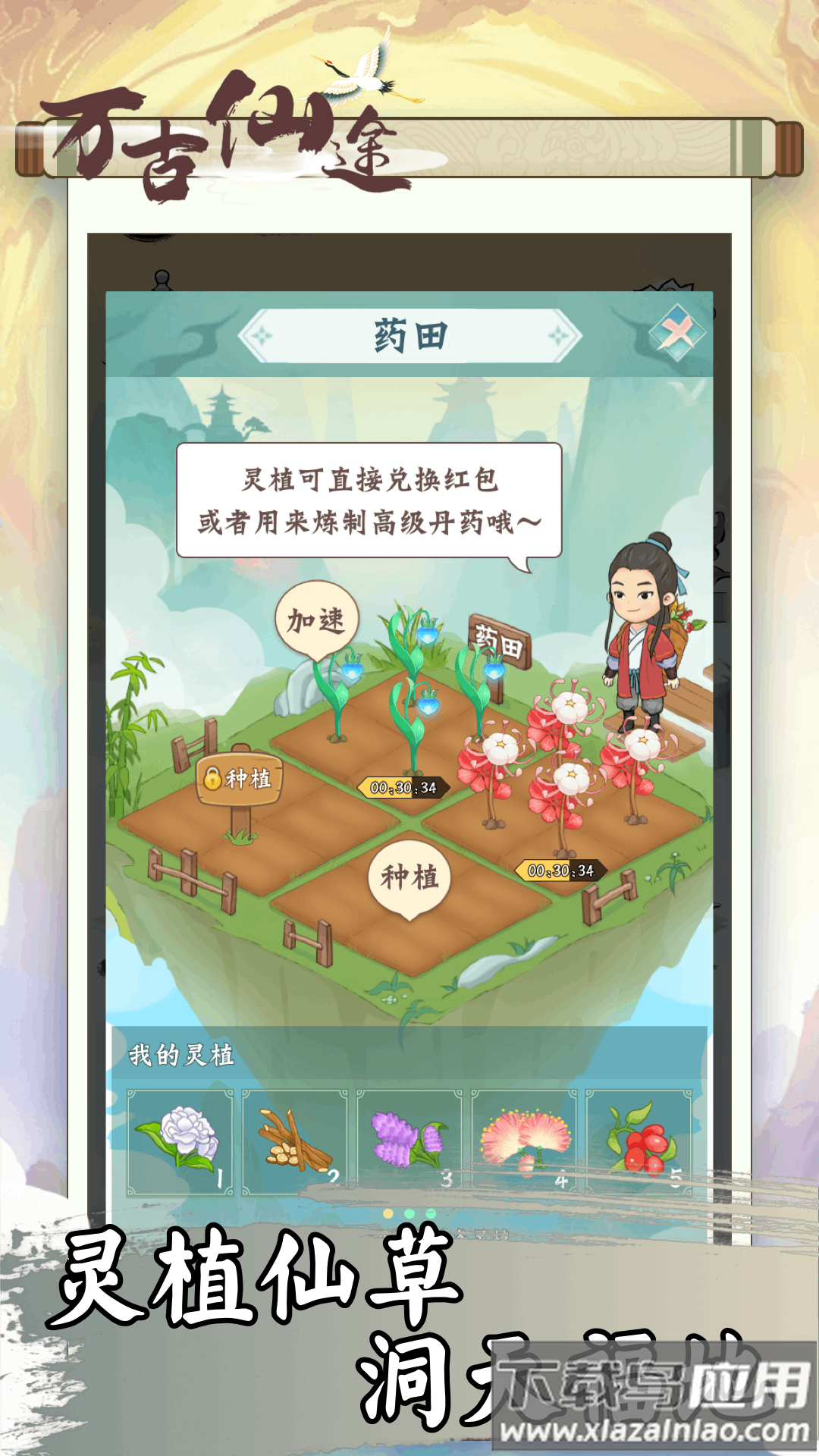 万古仙途游戏最新版截图2