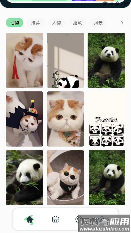 景深壁纸官方版截图2