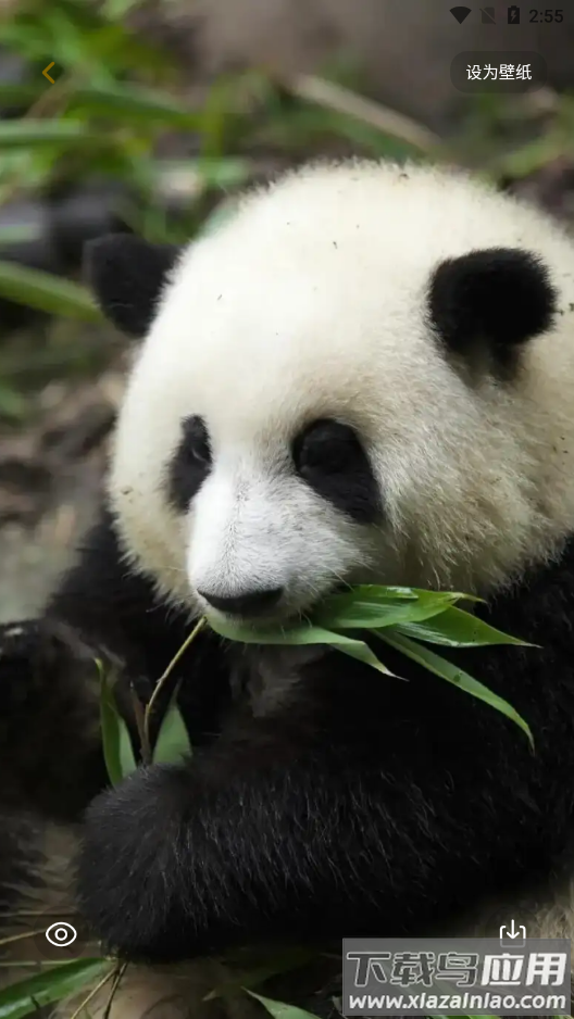 景深壁纸官方版截图5