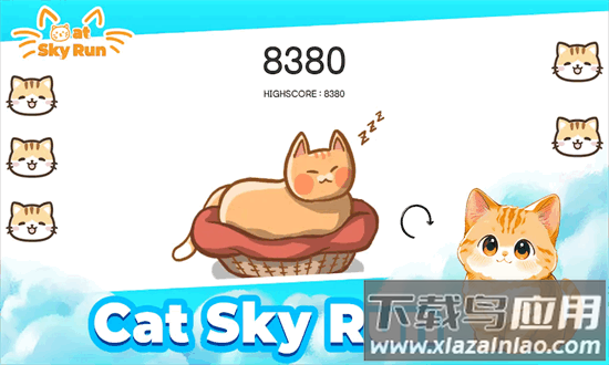 猫咪飞天跑最新版最新版截图3