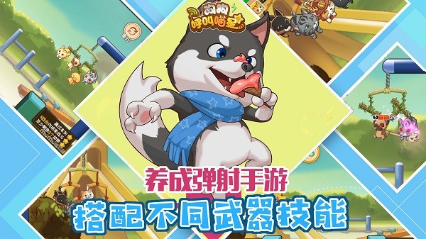 狗狗呼叫喵星官方最新版截图4