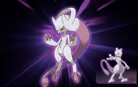 口袋喵喵九游版