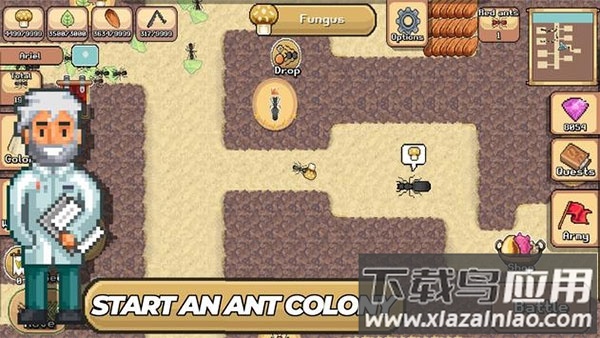 口袋蚂蚁游戏官方正版下载(Pocket Ants)截图4