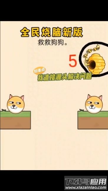 救救狗狗全民烧脑新版最新版截图3