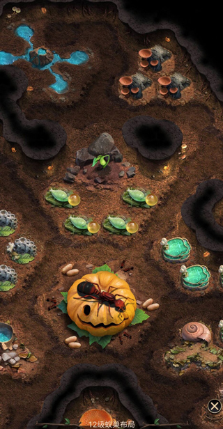 小小蚁国37手游