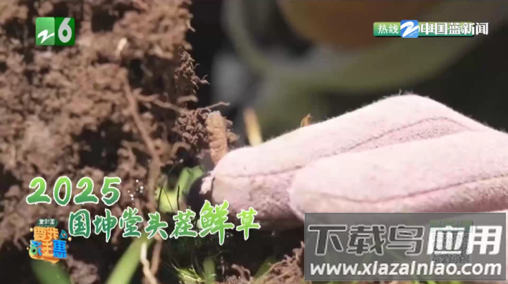 苦瓜tv电视版截图