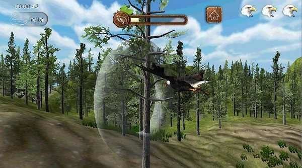 老鹰模拟器官方正版(eagle sim)截图1