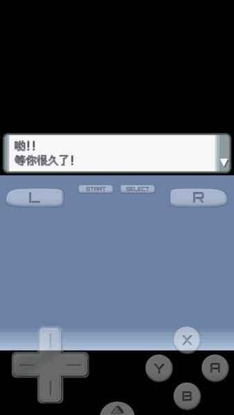 口袋妖怪钻石中文版金手指最新版截图2