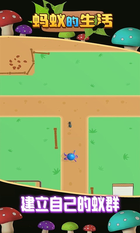 蚂蚁的生活手机版最新版截图2