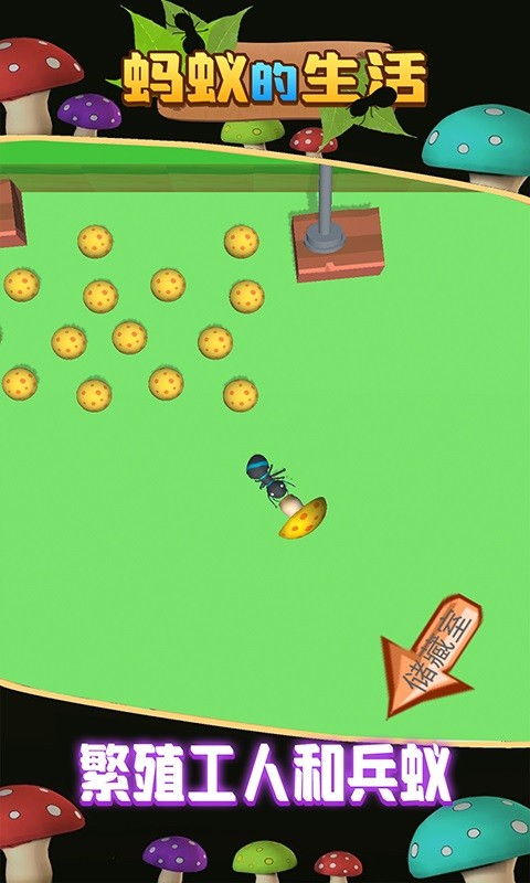 蚂蚁的生活手机版最新版截图3