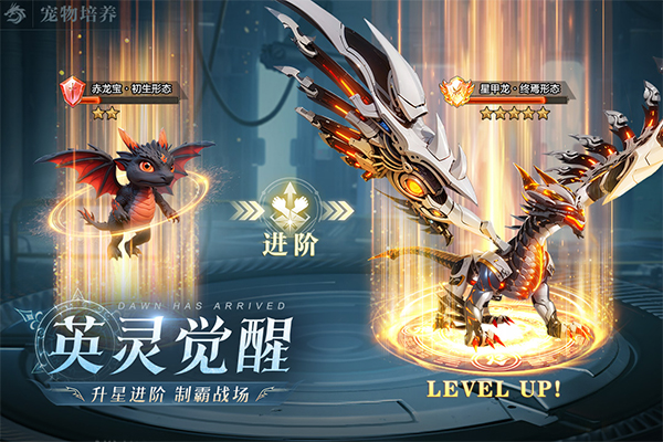 黎明之塔官方版截图