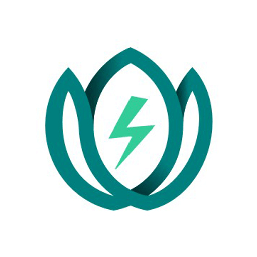 莲城电工app