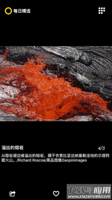 每日精选app最新版截图1