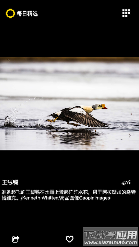 每日精选app最新版截图3