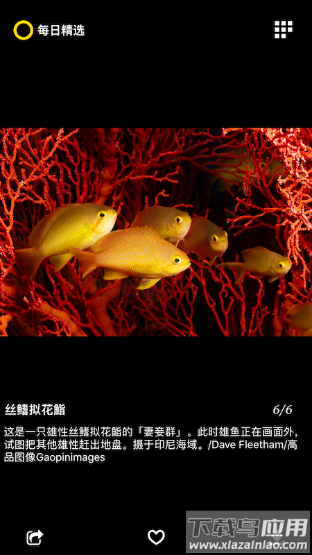 每日精选app最新版截图4