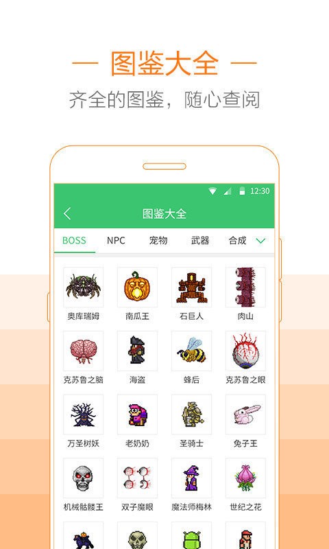 泰拉瑞亚助手盒子截图1