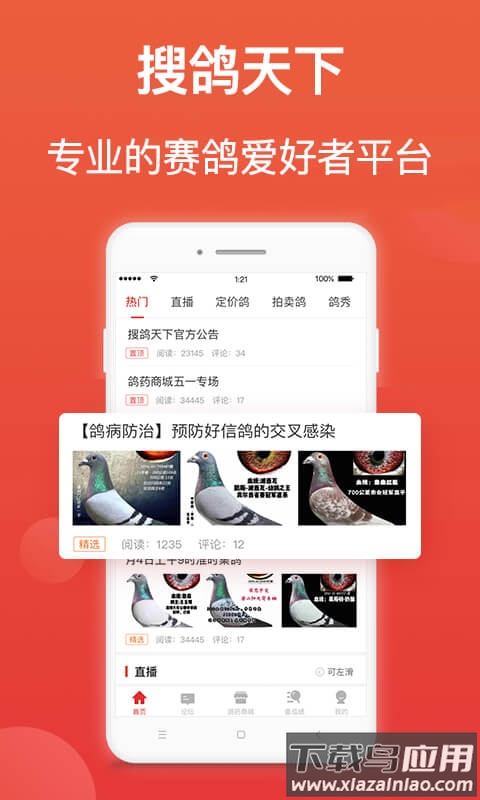 赛鸽头条下载安装截图1