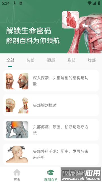 解剖模型Body软件