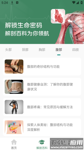 解剖模型Body软件