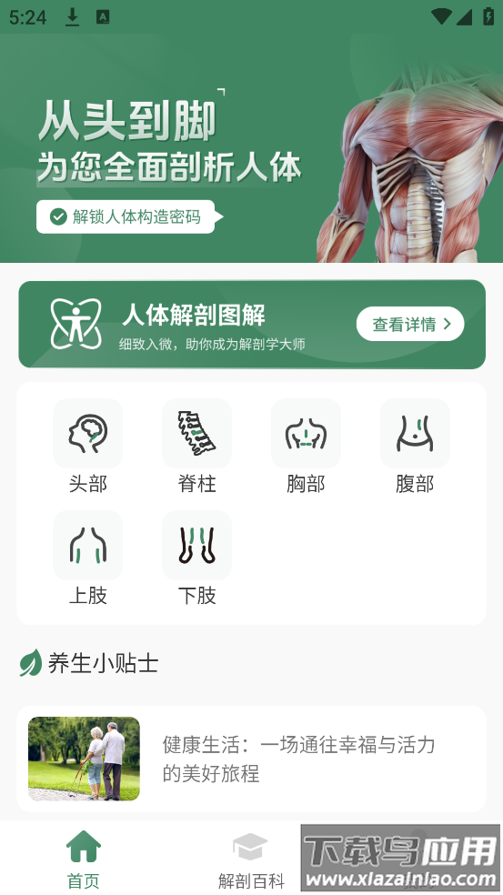 解剖模型Body软件最新版截图2