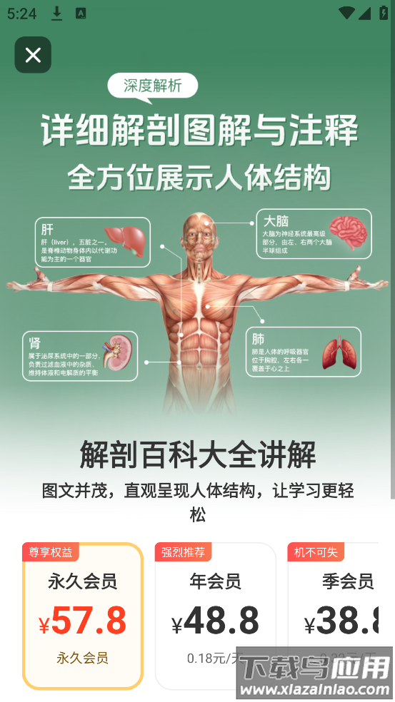 解剖模型Body软件最新版截图3