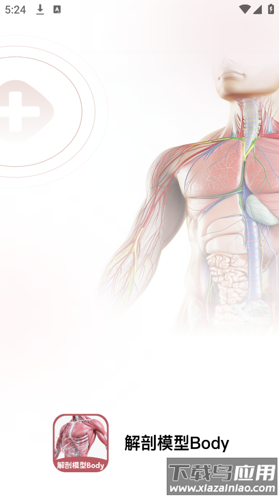 解剖模型Body软件最新版截图4