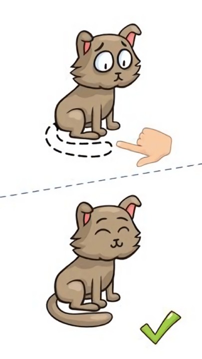 这题太难了游戏最新版截图1