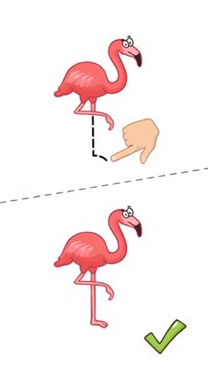 这题太难了游戏最新版截图2