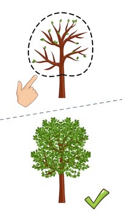 这题太难了游戏最新版截图3