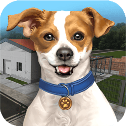 动物收容所模拟器游戏