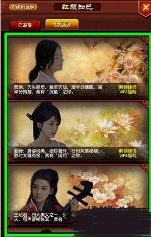 极品芝麻官国际服