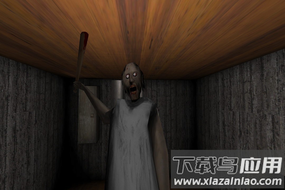 恐怖奶奶迷雾游戏最新版截图1