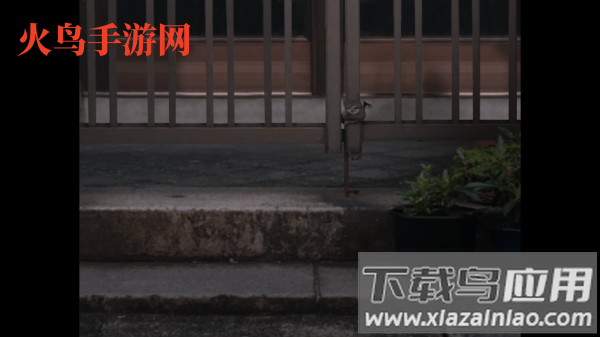 翌日猫之怪奇谭手游